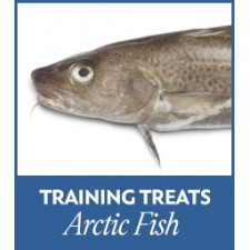 Arctic Fish Treats (4)